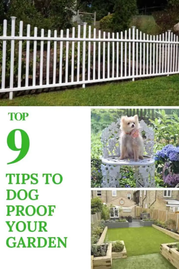 9 Tips To Dog Proof Your Garden 11 - Patio & Outdoor Furniture